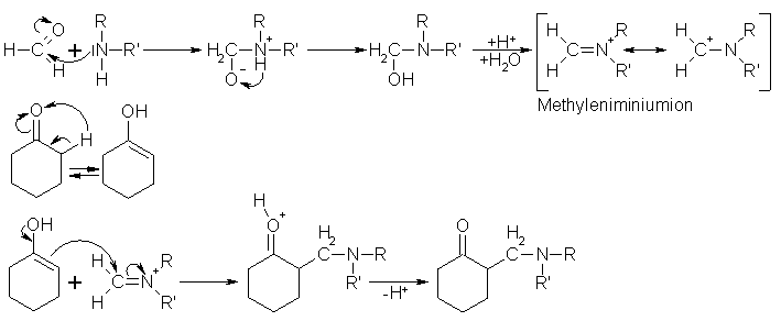 Reaktionsmechanismen